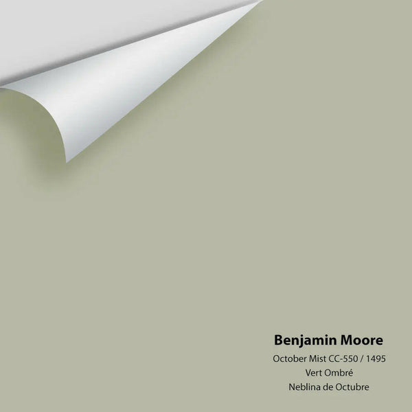 Benjamin Moore - October Mist 1495 / CC-550 Colour Sample