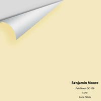 Benjamin Moore - Pale Moon 289 / OC-108 Colour Sample