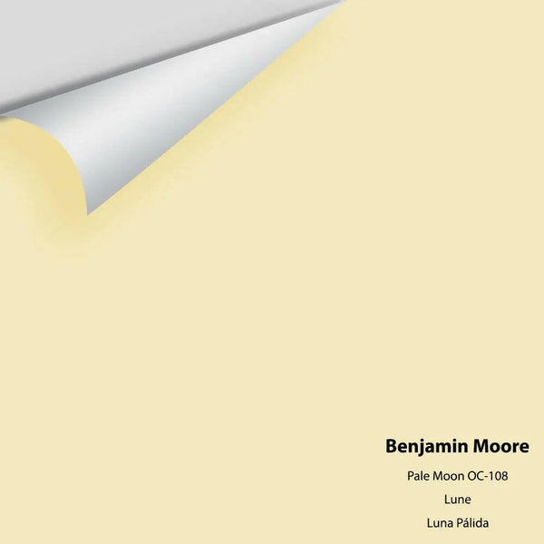 Benjamin Moore - Pale Moon 289 / OC-108 Colour Sample