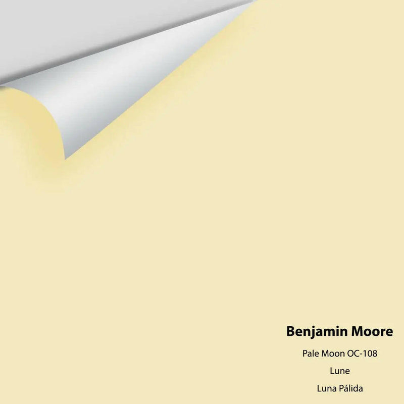 Benjamin Moore - Pale Moon 289 / OC-108 Colour Sample