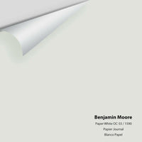 Benjamin Moore - Paper White 1590 / OC-55 Colour Sample