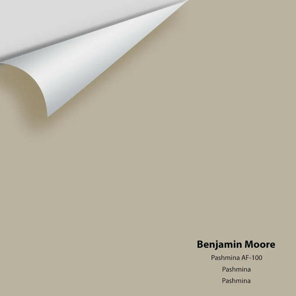 Benjamin Moore - Pashmina AF-100 Colour Sample