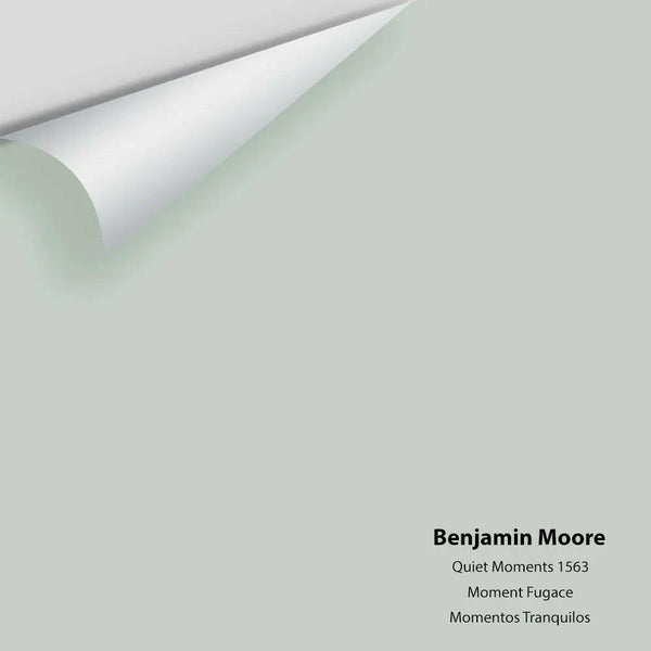 Benjamin Moore - Quiet Moments 1563 Colour Sample