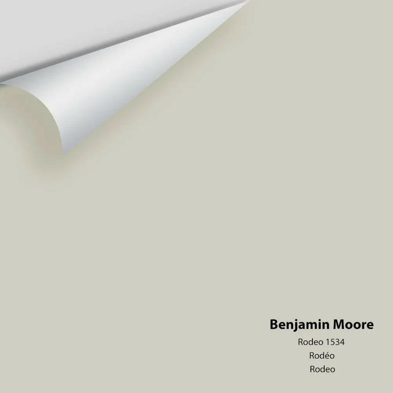 Benjamin Moore - Rodeo 1534 Colour Sample