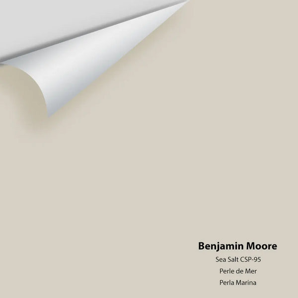 Benjamin Moore - Sea Salt CSP-95 Colour Sample