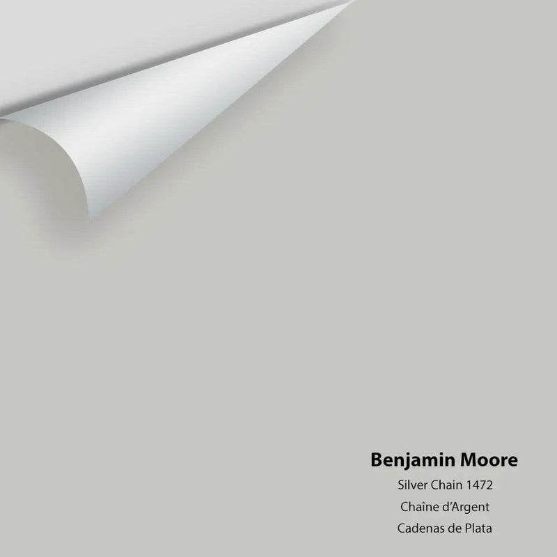 Benjamin Moore - Silver Chain 1472 Colour Sample