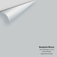 Benjamin Moore - Silver Half Dollar 2121-40 Colour Sample