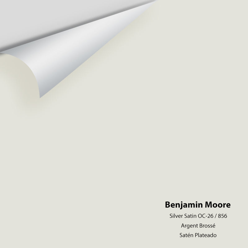 Benjamin Moore - Silver Satin 856 / OC-26 Colour Sample