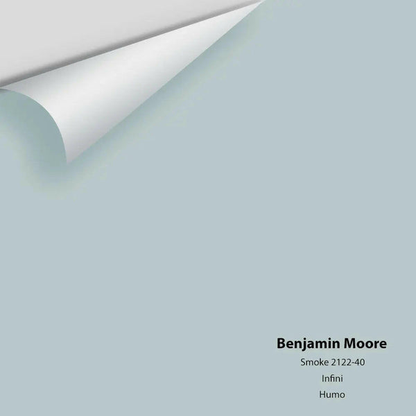 Benjamin Moore - Smoke 2122-40 Colour Sample