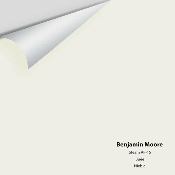 Benjamin Moore - Steam AF-15 Colour Sample