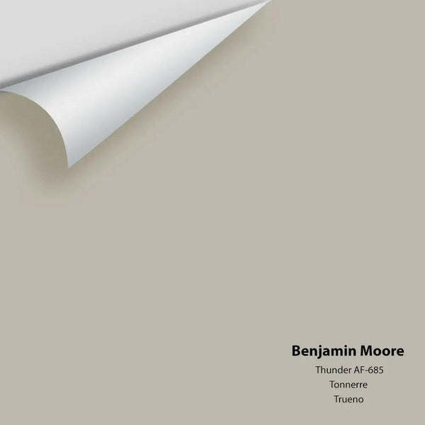 Benjamin Moore - Thunder AF-685 Colour Sample