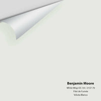 Benjamin Moore - White Wisp 2137-70 / OC-54 Colour Sample