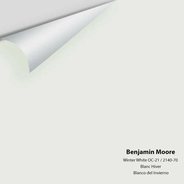 Benjamin Moore - Winter White 2140-70 / OC-21 Colour Sample