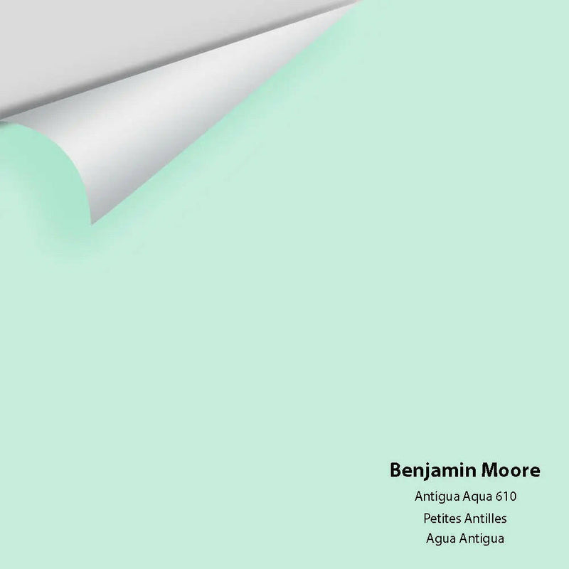 Big Paint Chip - Antigua Aqua 610 - Colour Squared Inc.