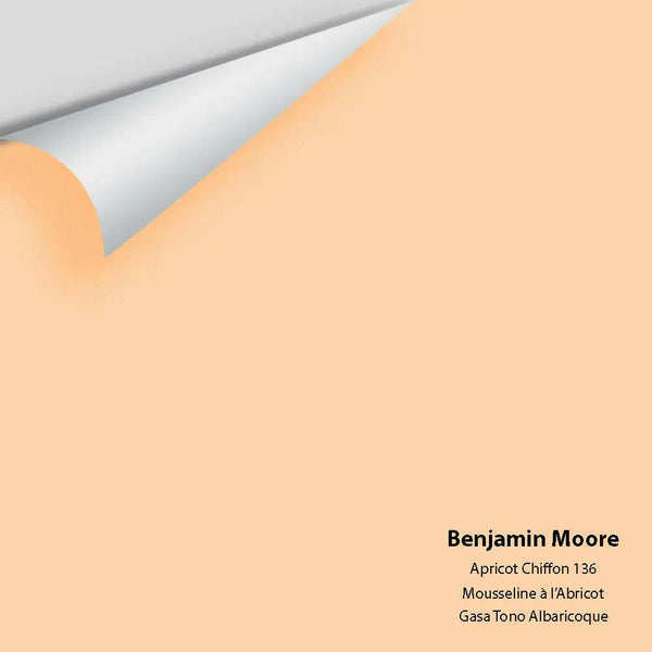 Big Paint Chip - Apricot Chiffon 136