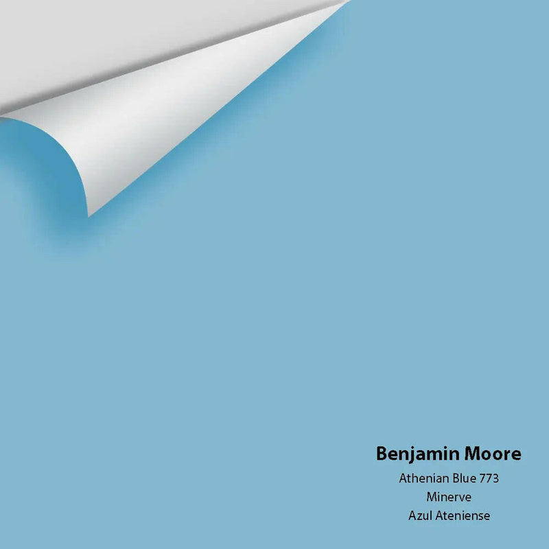 Big Paint Chip - Athenian Blue 773 - Colour Squared Inc.