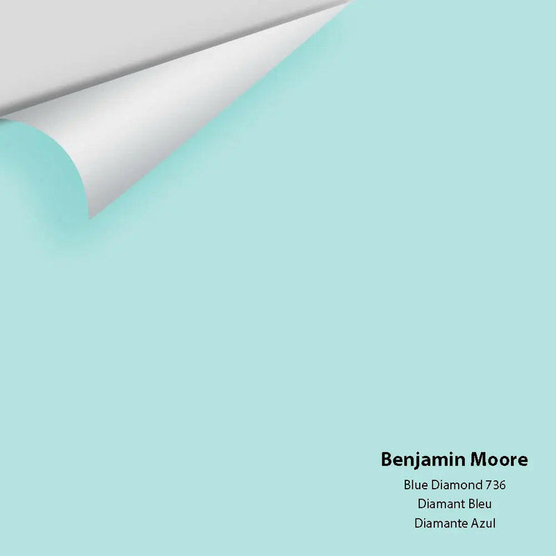 Big Paint Chip - Blue Diamond 736 - Colour Squared Inc.