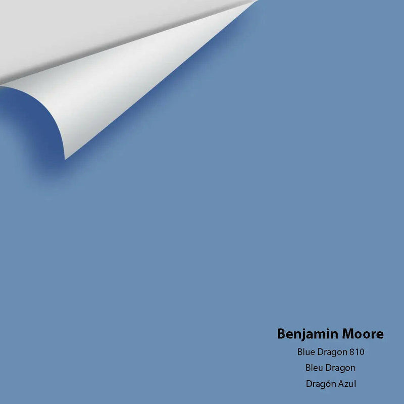 Big Paint Chip - Blue Dragon 810 - Colour Squared Inc.