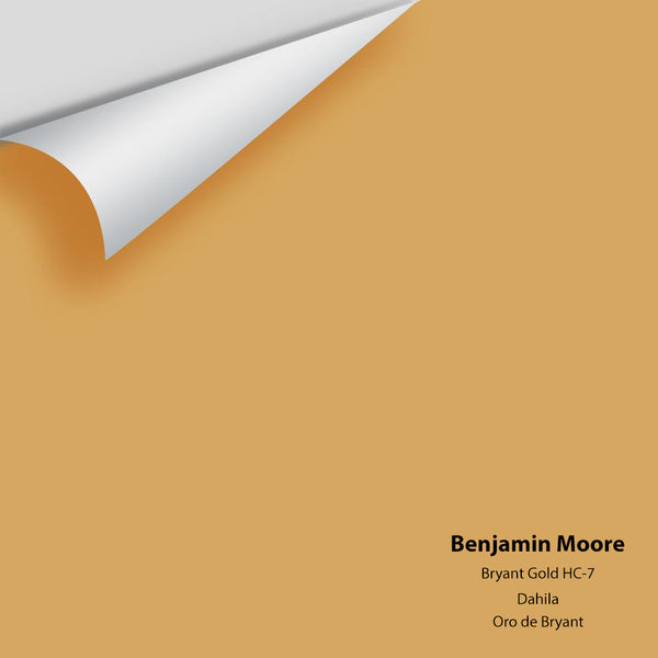 Benjamin Moore - Bryant Gold HC-7 Colour Sample