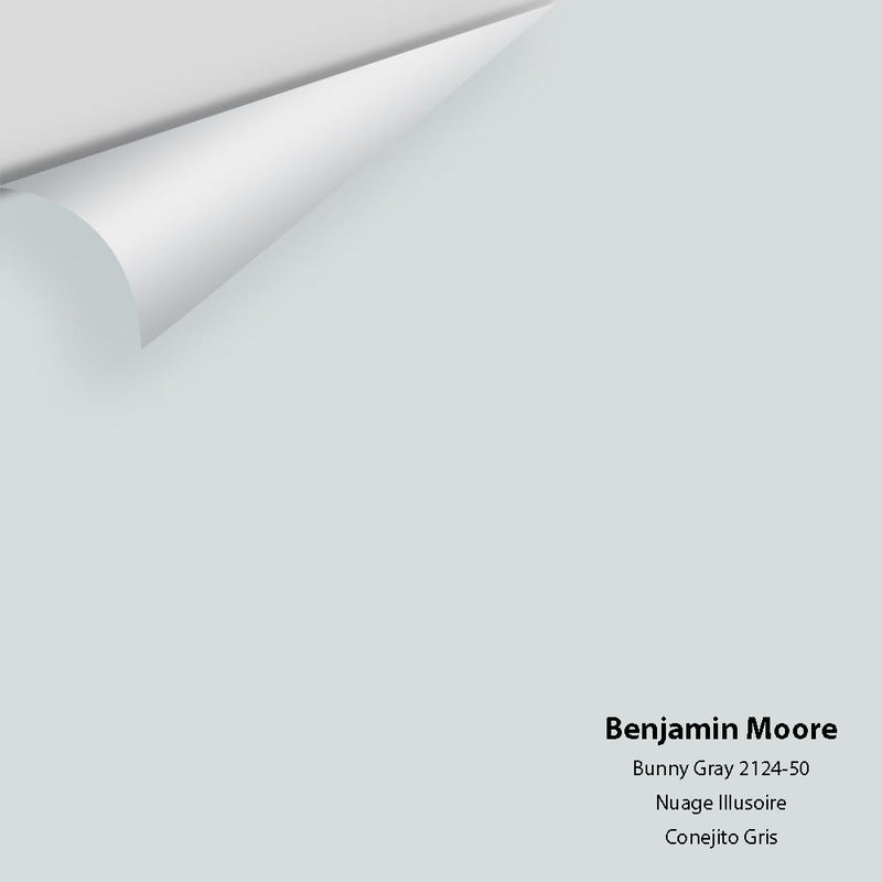 Benjamin Moore - Bunny Gray 2124-50 Colour Sample - Colour Squared Inc.