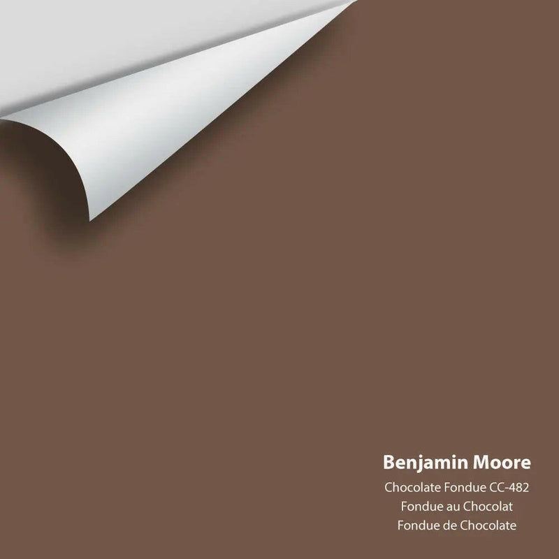 Big Paint Chip - Chocolate Fondue CC-482 - Colour Squared Inc.