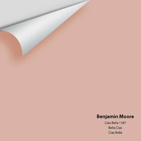 Big Paint Chip - Ciao Bella 1187