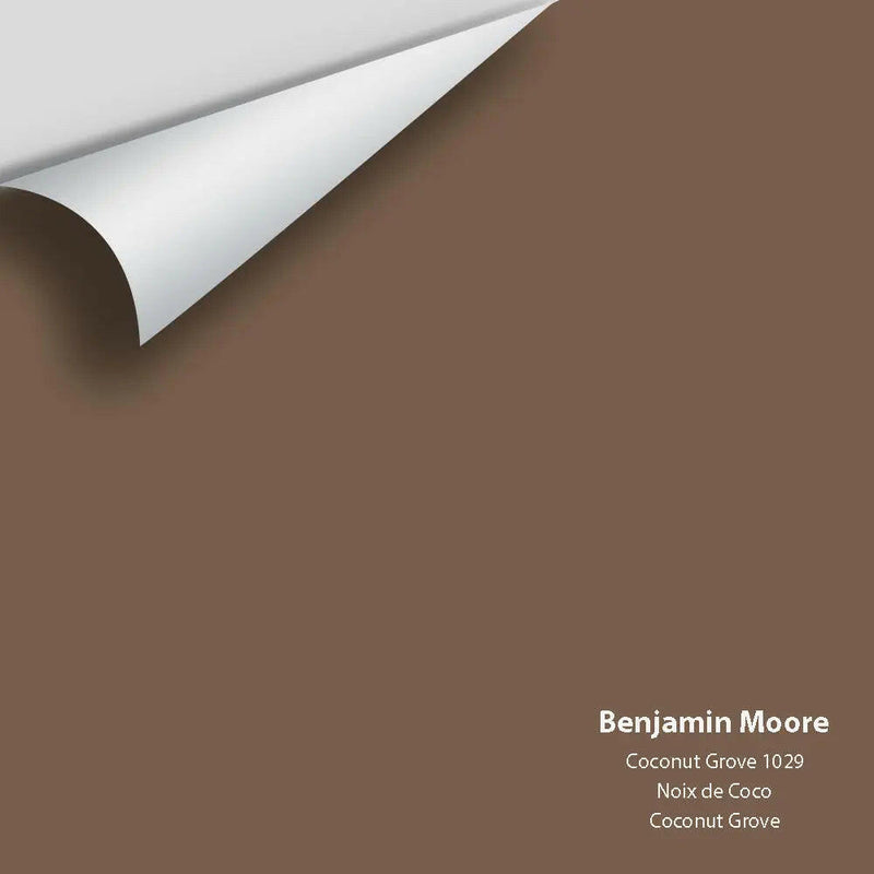 Big Paint Chip - Coconut Grove 1029 - Colour Squared Inc.