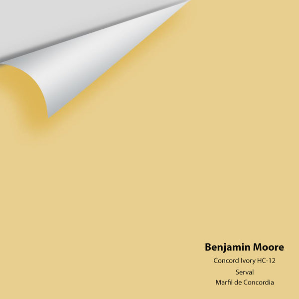 Benjamin Moore - Concord Ivory HC-12 Colour Sample