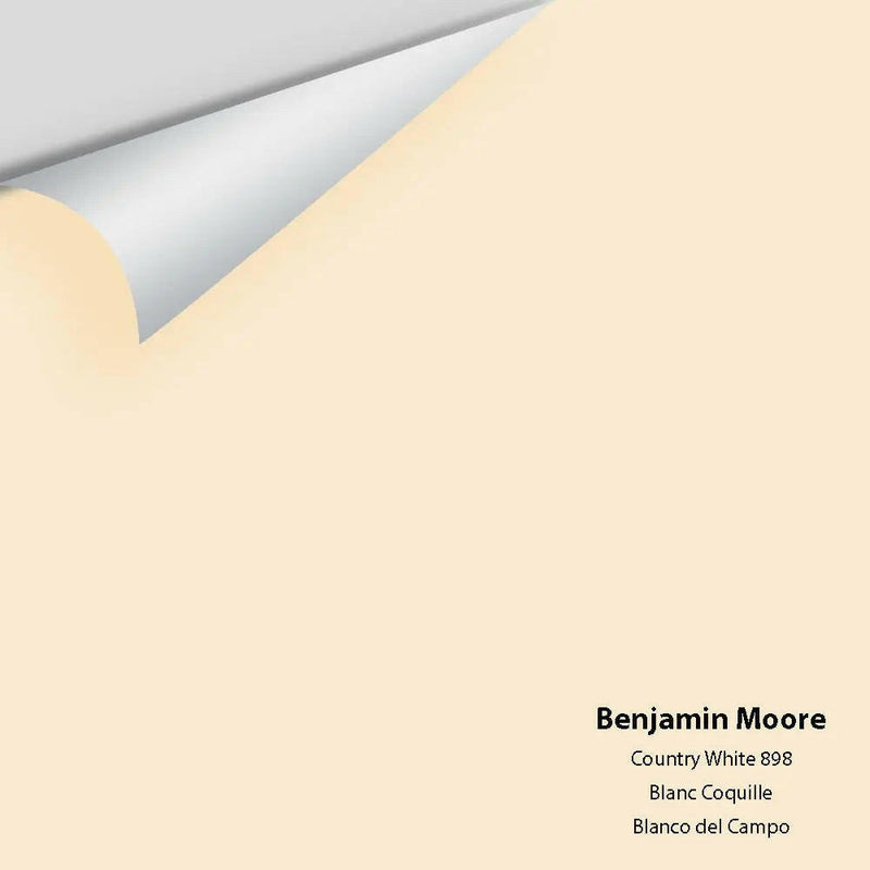 Big Paint Chip - Country White 898 - Colour Squared Inc.