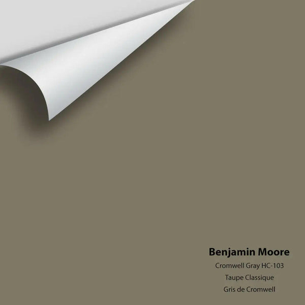Big Paint Chip - Crownsville Gray HC-106