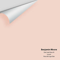 Big Paint Chip - East Lake Rose 43 - Colour Squared Inc.
