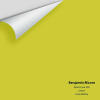 Big Paint Chip - Exotic Lime 399 - Colour Squared Inc.