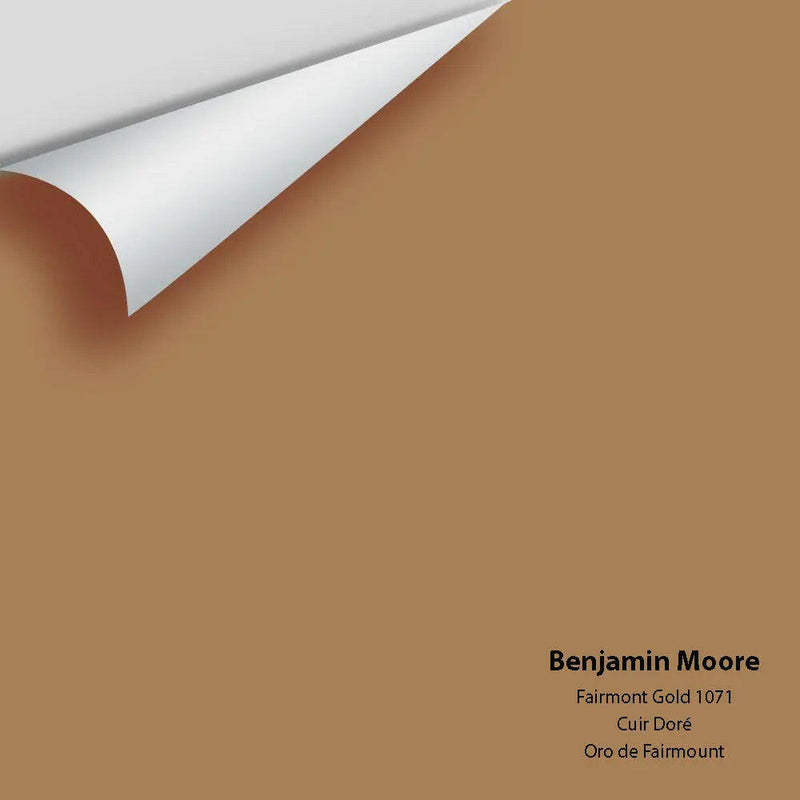 Big Paint Chip - Fairmont Gold 1071 - Colour Squared Inc.