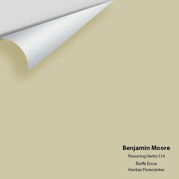 Benjamin Moore - Flowering Herbs 514 Color Sample
