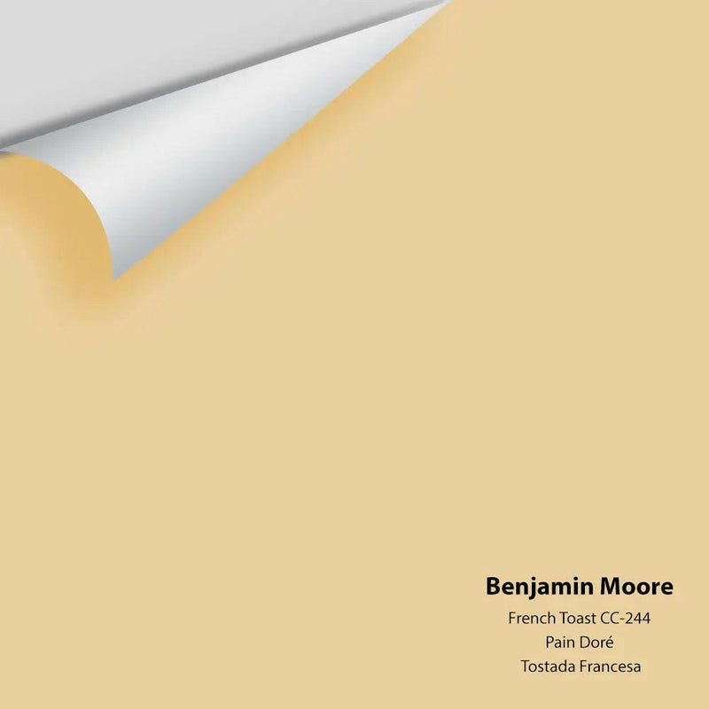 Big Paint Chip - French Toast CC-244 - Colour Squared Inc.