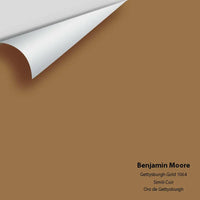 Big Paint Chip - Gettysburgh Gold 1064 - Colour Squared Inc.