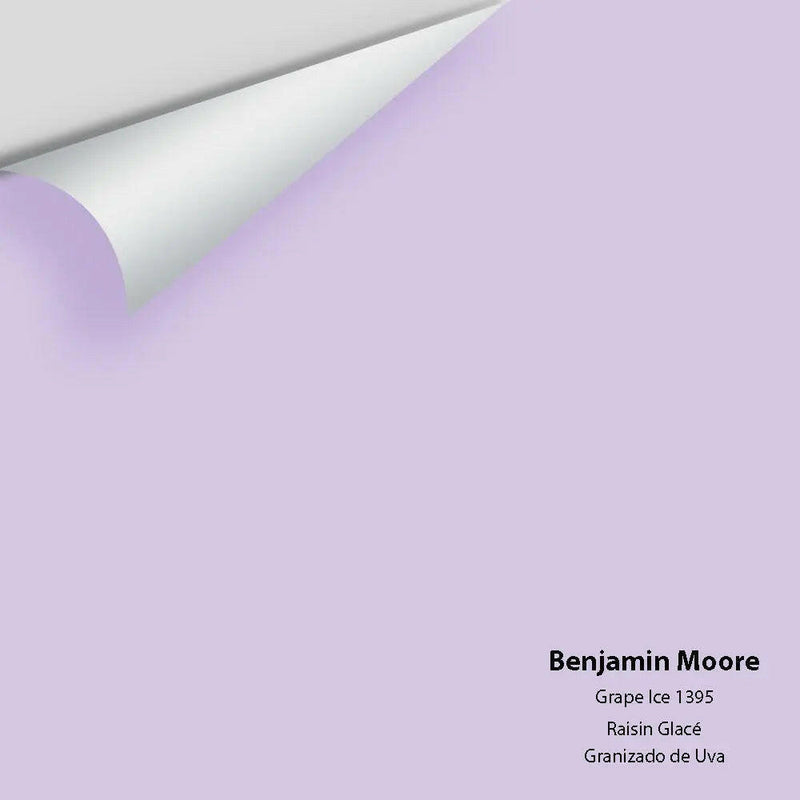 Big Paint Chip - Grape Ice 1395 - Colour Squared Inc.