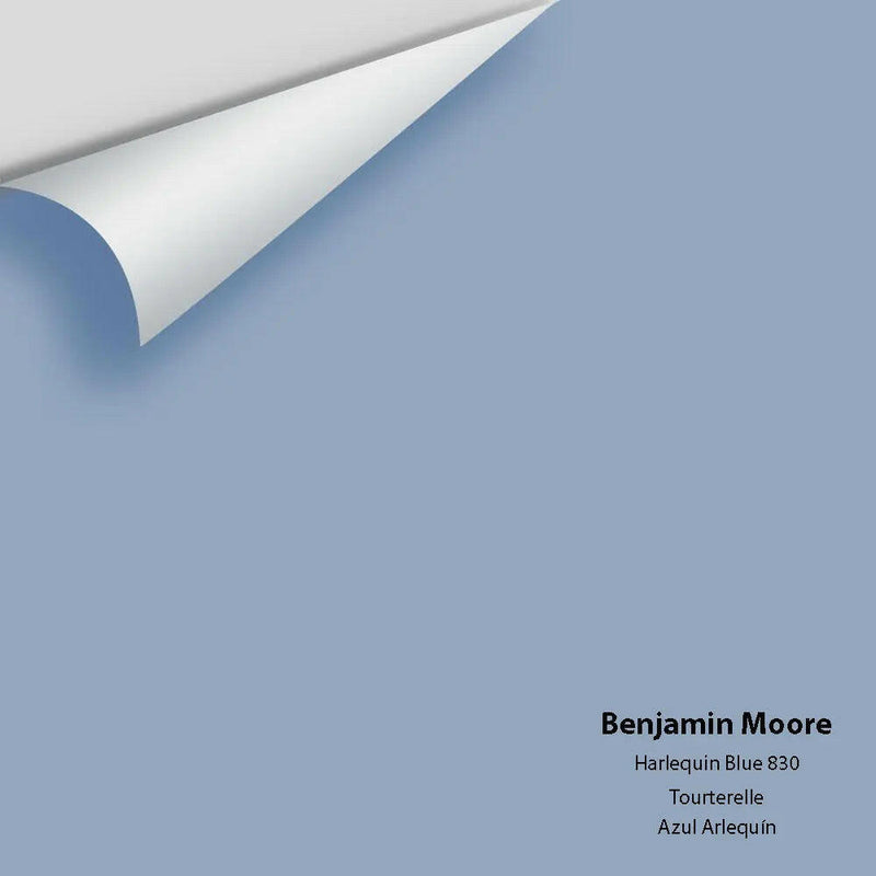 Big Paint Chip - Harlequin Blue 830 - Colour Squared Inc.