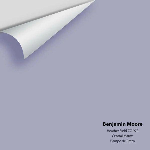 Big Paint Chip - Heather Field CC-970 - Colour Squared Inc.