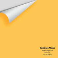 Big Paint Chip - Imperial Yellow 314 - Colour Squared Inc.