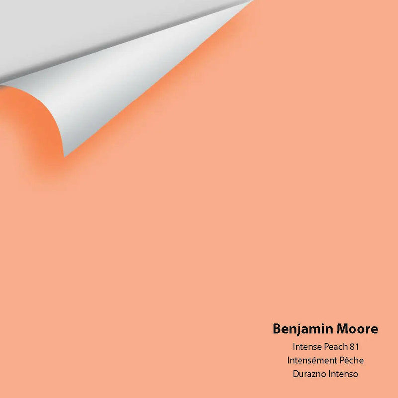 Big Paint Chip - Intense Peach 81 - Colour Squared Inc.