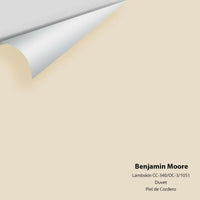 Big Paint Chip - Lambskin 1051 / CC-340 / OC-3 - Colour Squared Inc.