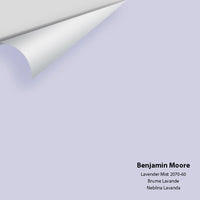 Benjamin Moore - Lavender Mist 2070-60 Colour Sample - Colour Squared Inc.