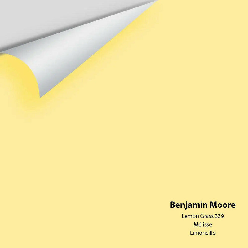 Big Paint Chip - Lemon Grass 339 - Colour Squared Inc.
