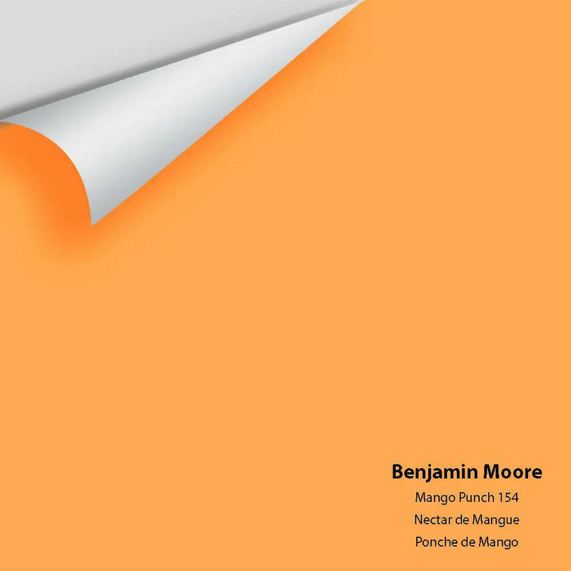 Big Paint Chip - Mango Punch 154 - Colour Squared Inc.