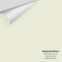 Big Paint Chip - Meadow Mist 936 / OC-134 - Colour Squared Inc.