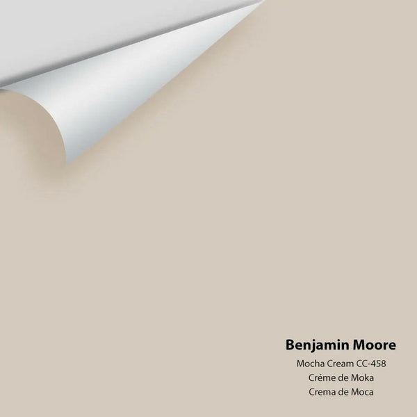 Benjamin Moore - Mocha Cream 995 / CC-458 Colour Sample