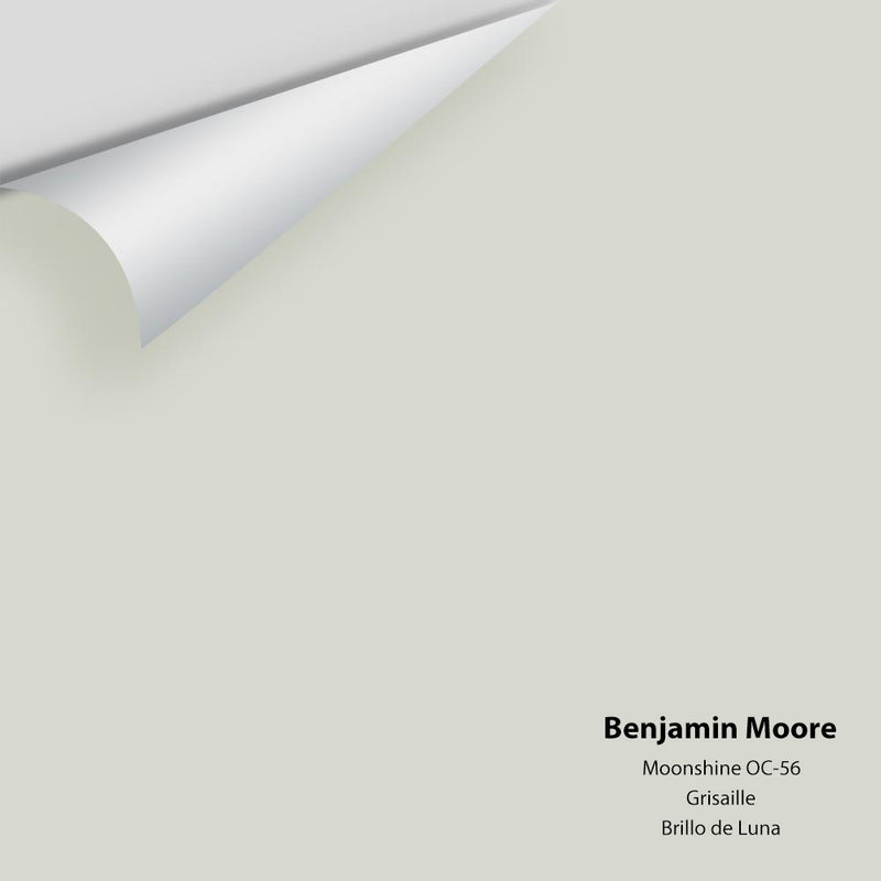 The Perfect Light Gray Paint Color: Moonshine By Benjamin Moore