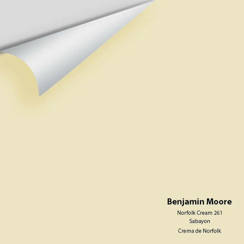 Big Paint Chip - Norfolk Cream 261