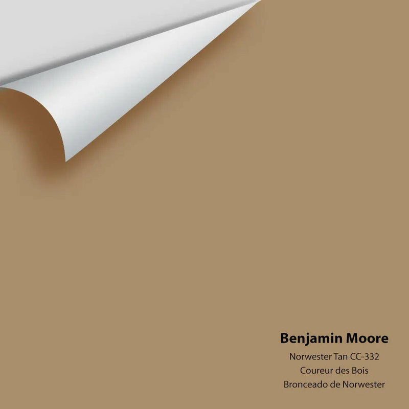 Big Paint Chip - Norwester Tan CC-332 - Colour Squared Inc.